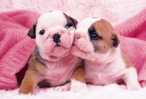 ÈËÃñÈÕ±¨ÊðÃûÎÄÕ£ºÊÂʵʤÓÚÐÛ±ç