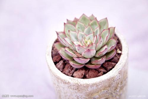 ÐÂÍ»ÆÆ£¡Öйú³ÇÏçµÍ±£±ê×¼·Ö±ðÔö³¤7.7%¡¢11.3%