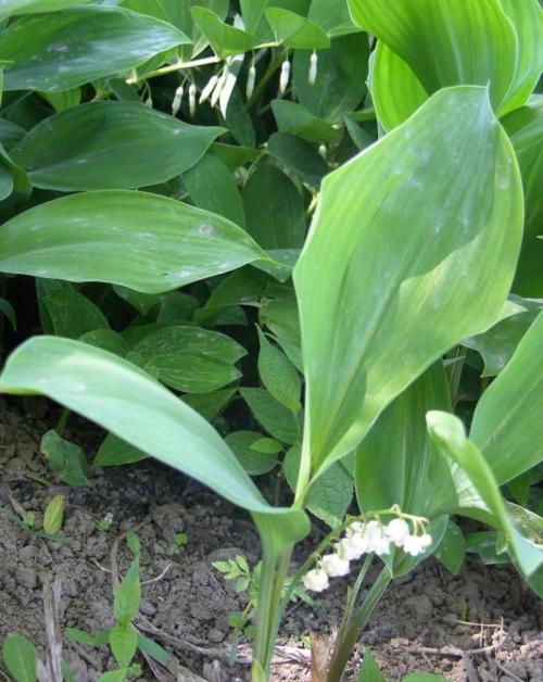 多地出台落户新政策,释放了什么信号?