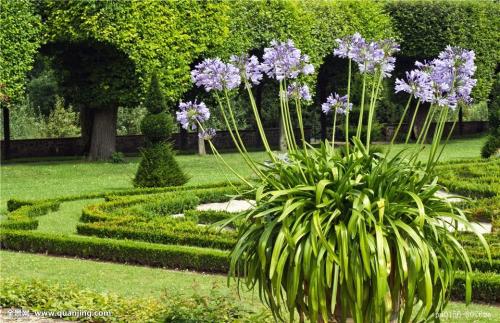 Êг¡¼à¹Ü×ܾÖ:·¢ÏÖÍøÊÛÏû·ÑÆ·´æÔÚȱÏÝÓ¦Á¢¼´ÕÙ»Ø