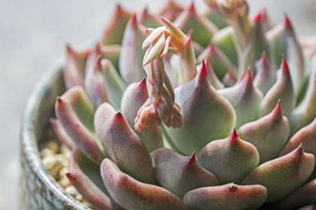 ½ÌÓý²¿²¿Êð×öºÃº®¼Ùǰºó¸ßУÒßÇé·À¿Ø¹¤×÷