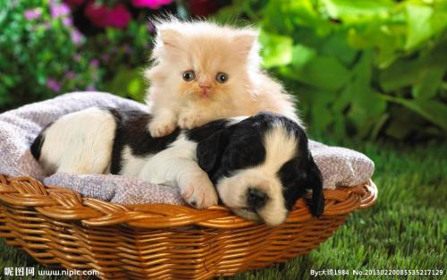 ÖÛɽº£ÓòÒ»¸É»õ´¬³Áû:13Ãû´¬Ô±ÓöÏÕ 4ÃûÒÑ»ñ¾È