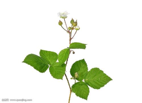 ½Î÷Õâ¸ö³ø·¿µÄÈ˼äÑ̻𣬸ж¯ÁËÕû¸öÖйú