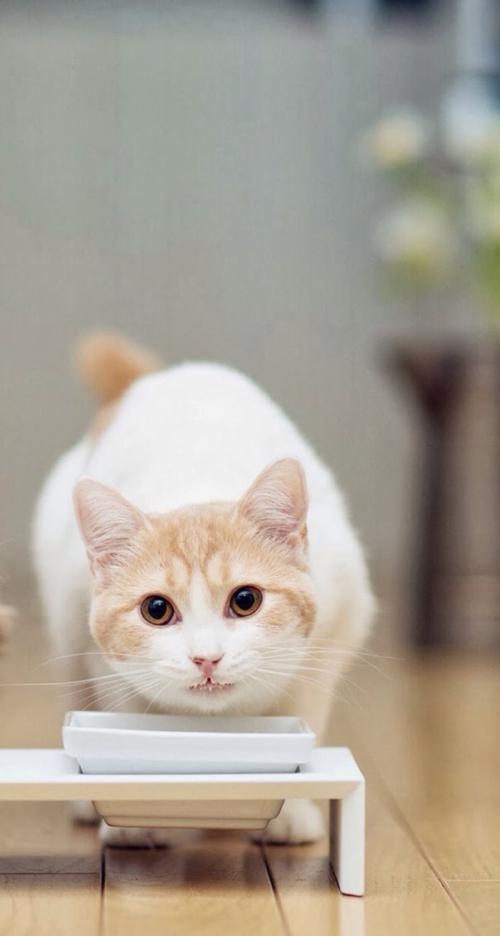 900ÔªÂô³µ³öʹÊÖÂÈËËÀÍö ±»ÅÐÁ¬´øÅâ³¥83ÍòÔª