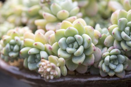 ±¨¸æÏÔʾÎÒ¹úµç×ÓÉÌÎñÁìÓò֪ʶ²úȨ±£»¤È«Ãæ¼ÓÇ¿