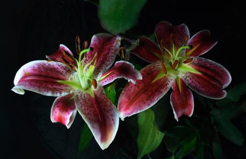 ÐÅÓÃծͳһÐÅÏ¢Åû¶¹æÔò£¬ÂòÕ®Òª¿´¡°ËµÃ÷Ê顱