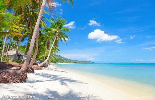 脱贫攻坚|非遗“活”起来 引领文创“奔康路”