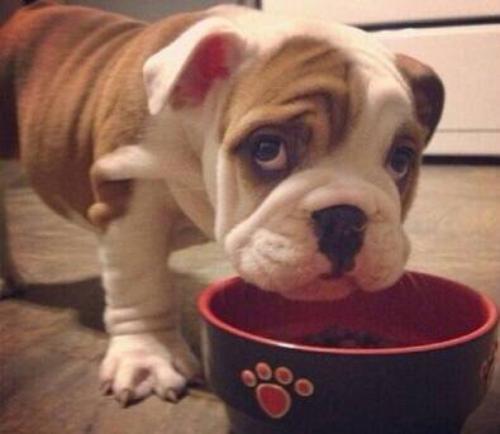 乌克兰延长战时状态至8月18日