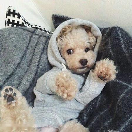 部分房贷利率迎来重定价日,你的月供变了吗?