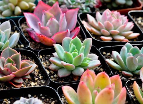 ½â¶Á³¤½±£»¤·¨|½«Îª±£»¤Ä¸Ç׺ÓÌṩÄÄЩ±£ÕÏ