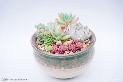 Ãñ·¨µäÀ´À² 2021ÄêÄãµÄÉú»î½«ÓÐÕâЩ´ó²»Í¬