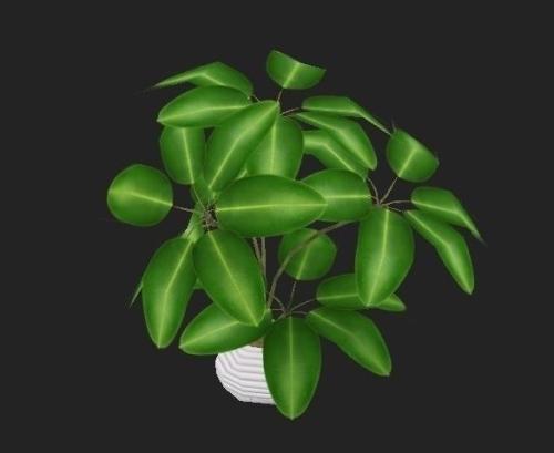 Àî¿Ëǿͬ°¢¶û¼°ÀûÑÇ×ÜÀí½ÜÀµÂͨµç»°