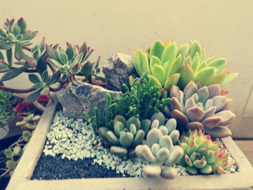 Å©´åÈ˾ӻ·¾³ÕûÖÎÈýÄêÐж¯ÈÎÎñ»ù±¾Íê³É