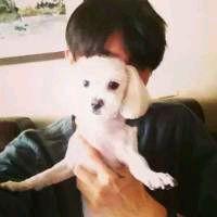 հ죺ˮϵȫͨ ˳ǡø˾