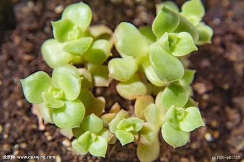 ÑëÐÐÒø±£¼à»á·¢ÎĽ¨Á¢·¿µØ²ú´û¿î¼¯ÖжȹÜÀíÖÆ¶È